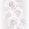 29P 2119-4.jpg class=